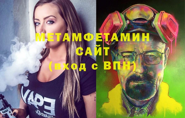 индика Елизово