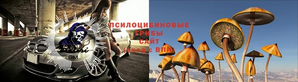 трава Новокубанск
