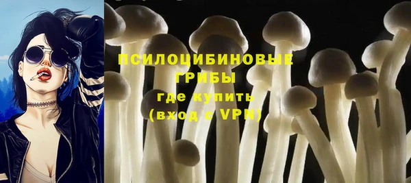 амф Няндома