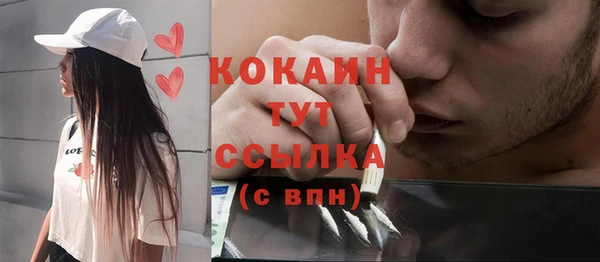 твердый Новозыбков