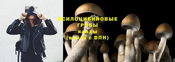 мяу мяу кристалл Новодвинск