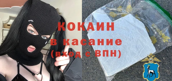 твердый Новозыбков