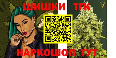 гашик Аргун