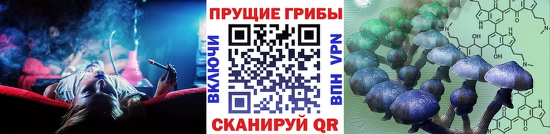 MEGA ссылки  Бахчисарай  Псилоцибиновые грибы MAGIC MUSHROOMS 