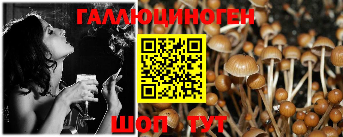 Псилоцибиновые грибы мухоморы  Вход с VPN  Бахчисарай 